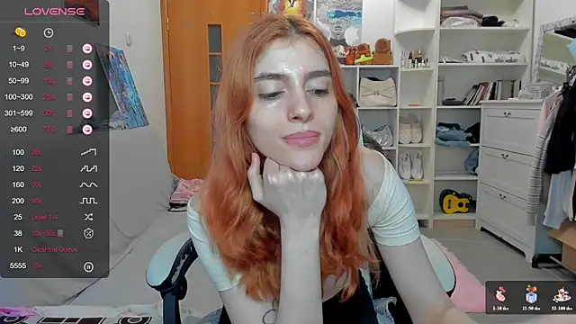 broosnica1 webcam