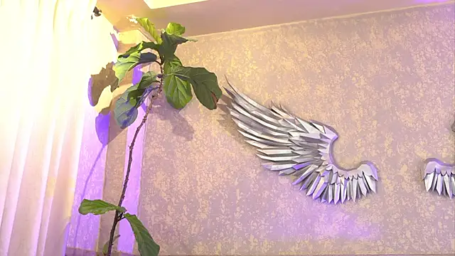 Susan_wall webcam