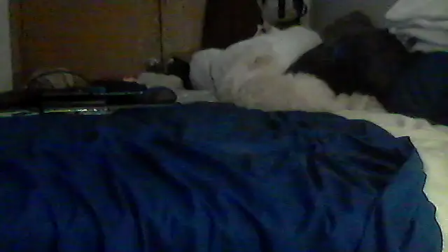 Silencio26 webcam