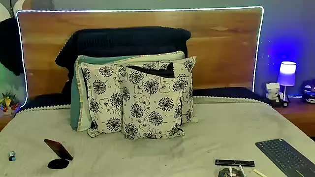 Prometeo-grizzly webcam