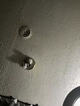 WhiteBullD317 live webcam show