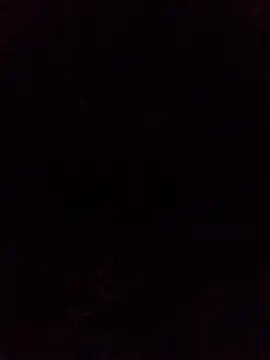 Jack_dav webcam