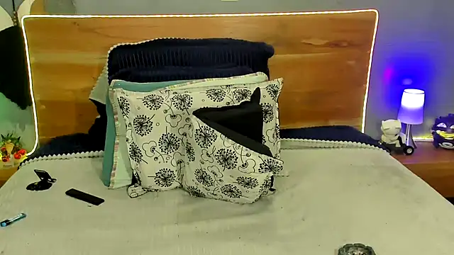 Prometeo-grizzly webcam