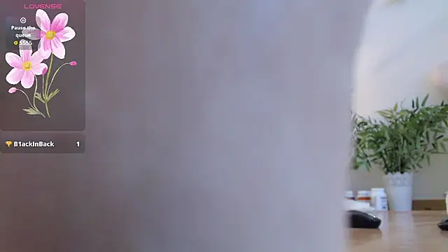 Squirtmania live webcam show