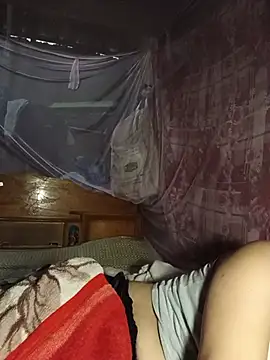 Hiha-nn webcam