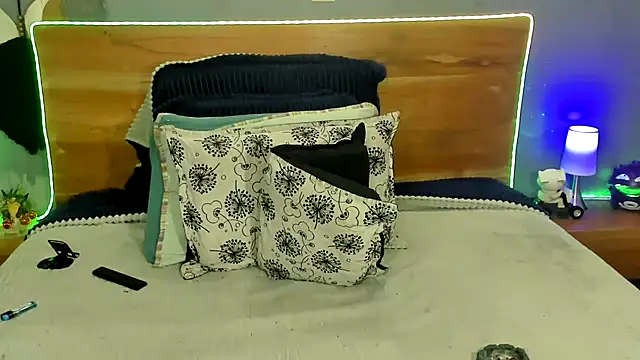 Prometeo-grizzly webcam