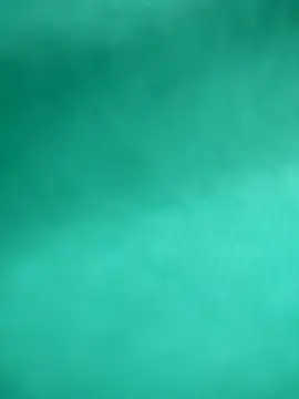 hazal81