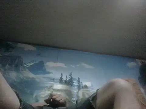 In2itvegassstyle webcam