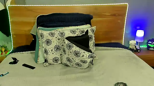 Prometeo-grizzly webcam