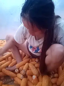 phuongtrinh1 webcam