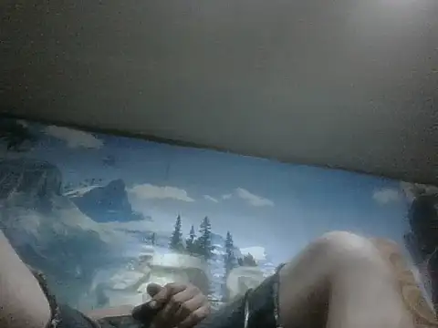 In2itvegassstyle webcam