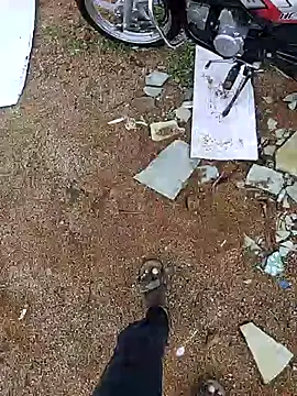 Telugu_person12