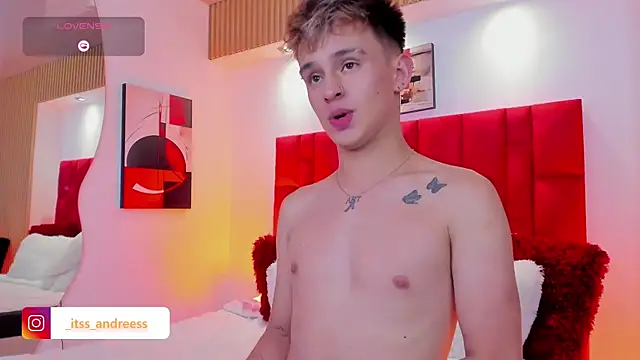 LiamWildx20 webcam