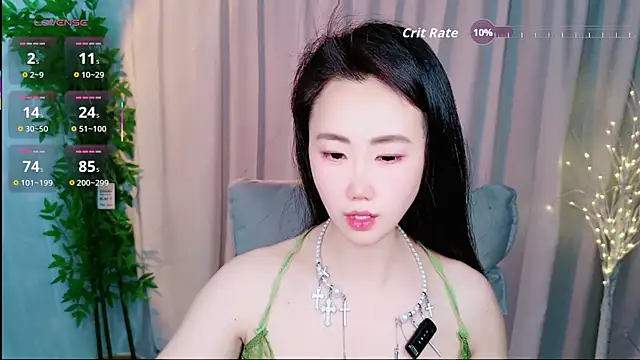 Dolpin_ webcam