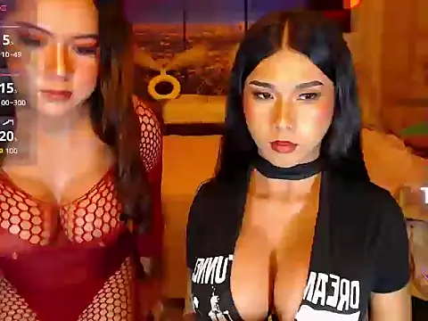 TRANSPORNIDOL webcam
