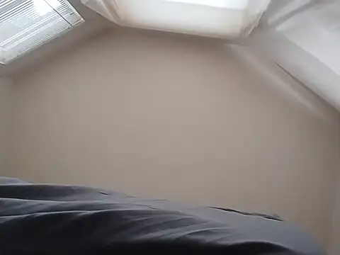 priceC411 webcam