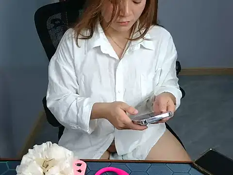 L_We webcam