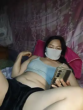 Hiha-nn webcam