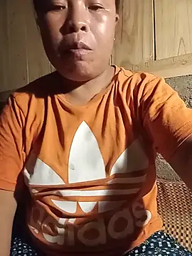 Ip34 webcam
