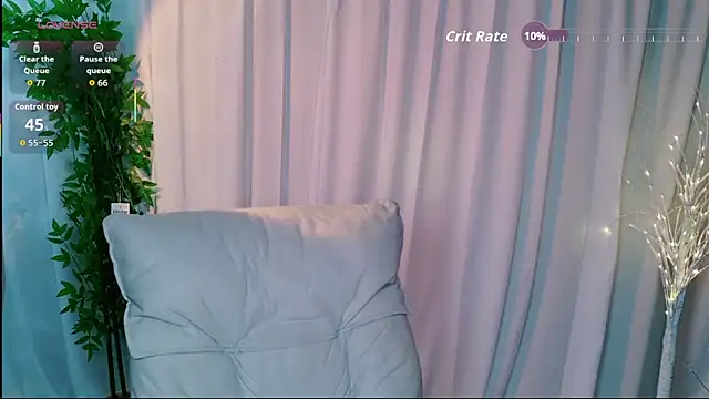 Dolpin_ webcam