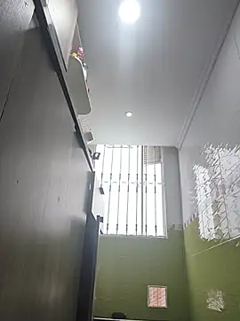 Tiger_cryad webcam