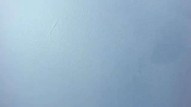 Charlie___Musk webcam