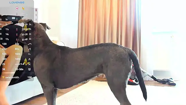 Anisefoxy live webcam show
