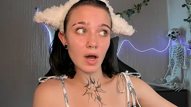 Elastikisss webcam