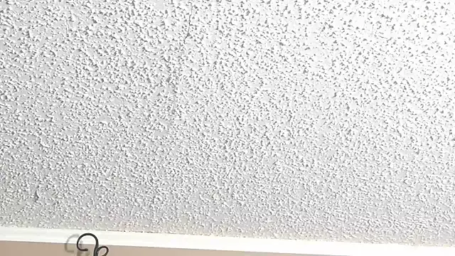 PNPSPUN1 live cam