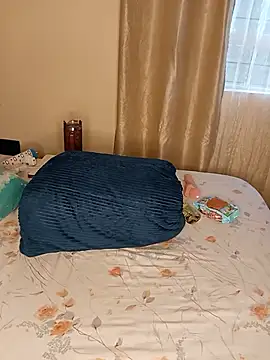 firewaist webcam