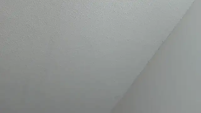 MiaKhal_ webcam