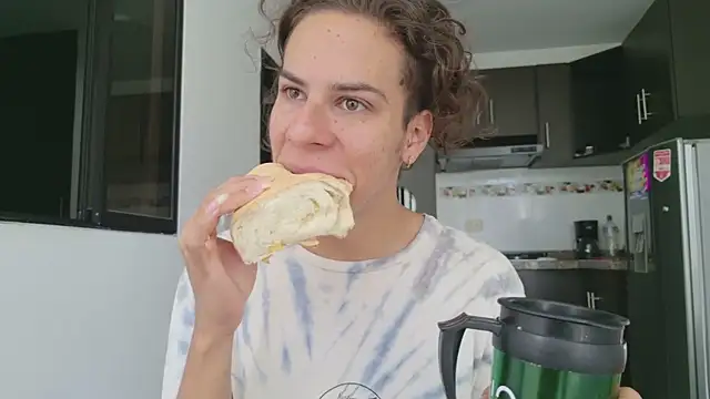 grey___27 webcam