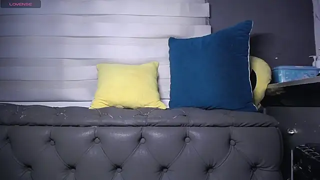 dirty_27cms webcam