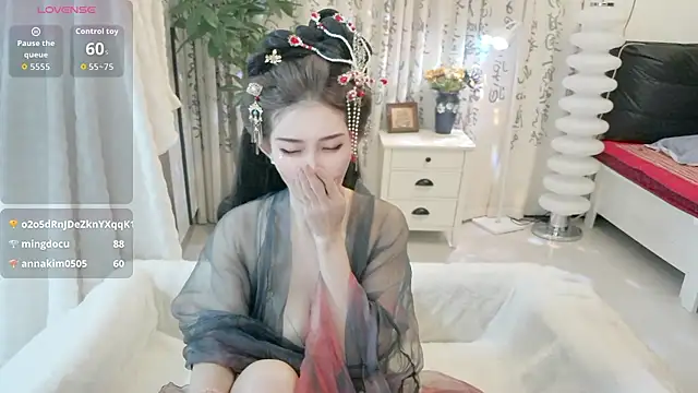 LIN-AN webcam
