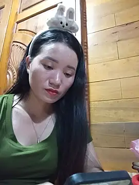 Td3di webcam