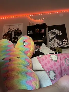 nintendhoe webcam
