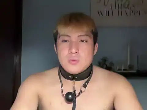 Kingdirtyfog webcam