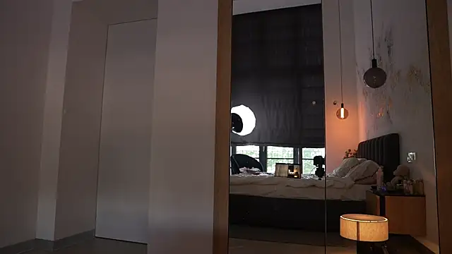 ibiddi webcam