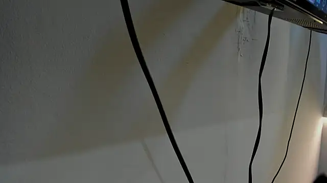 Alanis_Garnier_ webcam
