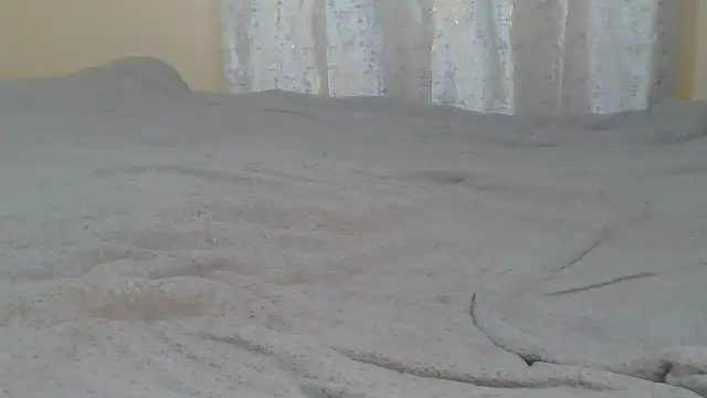 Rirothe webcam