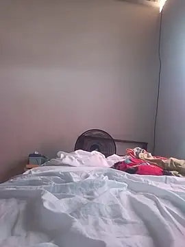 lapatronav2026 webcam