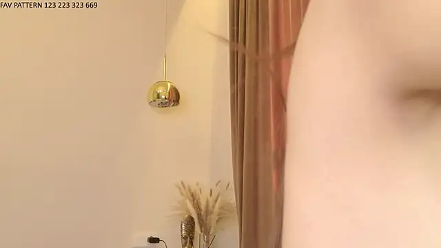 ActiveDi webcam