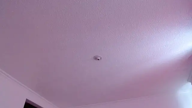 VALERY_MEER webcam