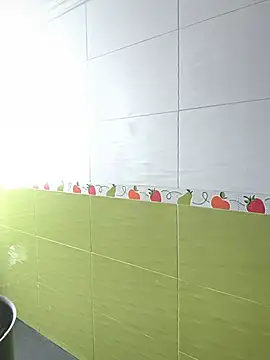 Tiger_cryad webcam