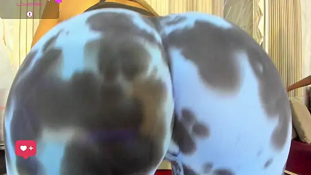 BriannaChelsea live cam on StripChat