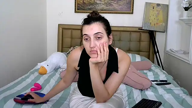 Iren webcam