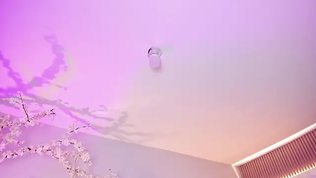 Dahiane_smith___ webcam