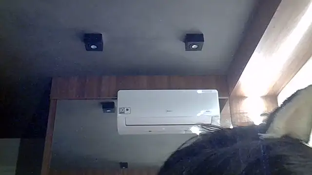 SkinnyKitten live cam