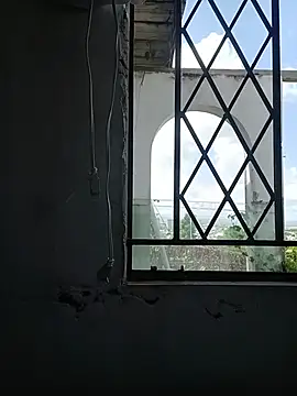 tallneck webcam