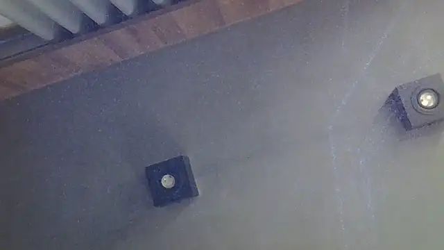 SkinnyKitten live cam